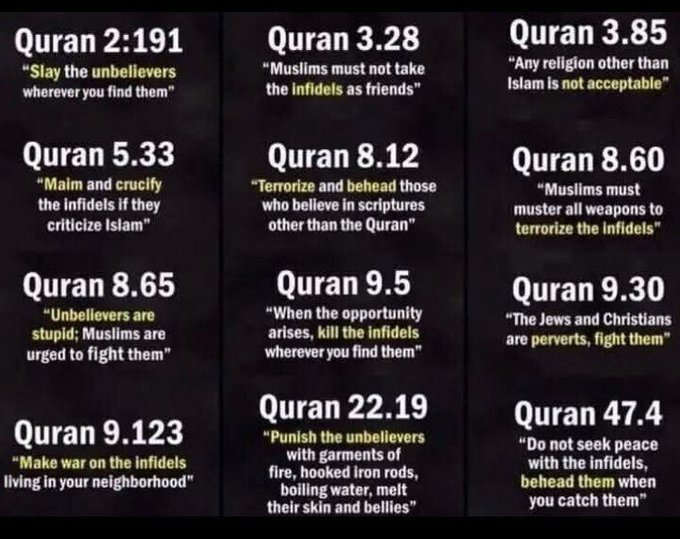 Nomadseanm's tweet photo. @fosandair @CollTracy59109 I'd prefer if it wasn't in their religion to kill all Christians. https://t.co/GfXJQoo9gD