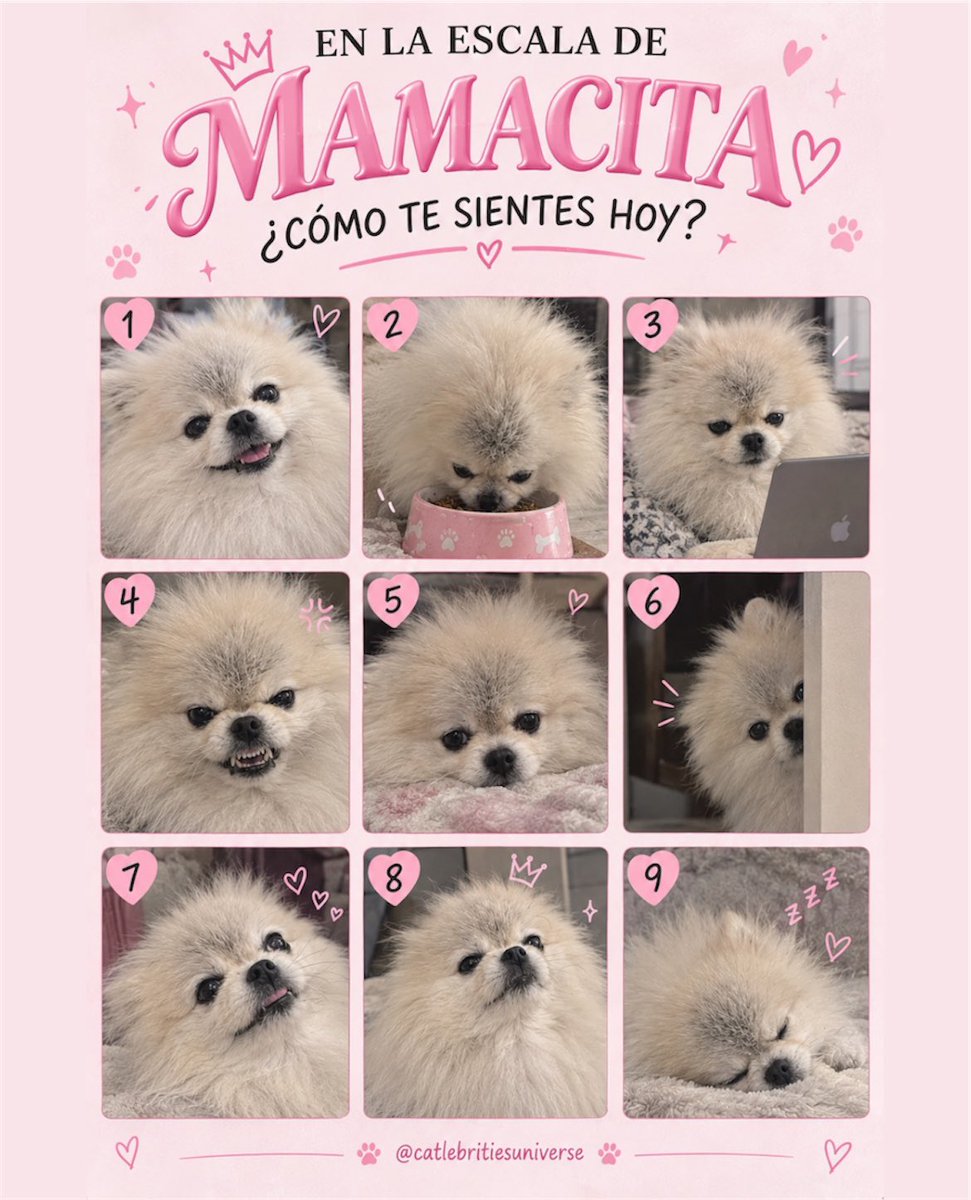 solecitosmid's tweet photo. Del 1 al 9, ¿qué versión de Mamacita eres hoy? 🫢

Los leemos 💗 https://t.co/yirWhQbKGa
