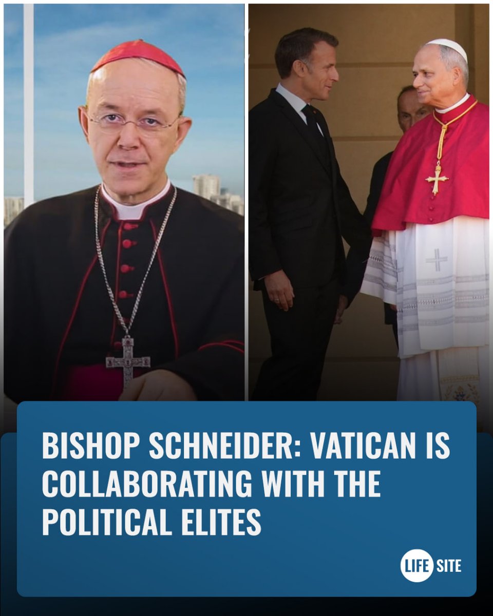 LifeSite's tweet photo. Bishop Schneider warned the Vatican is collaborating with European elites who want to "de-Christianize Europe."

Schneider said the riots in Europe serve as a "massive intimidation" of Christians.

https://t.co/oisycDrwKe https://t.co/dlUlUeGfWz