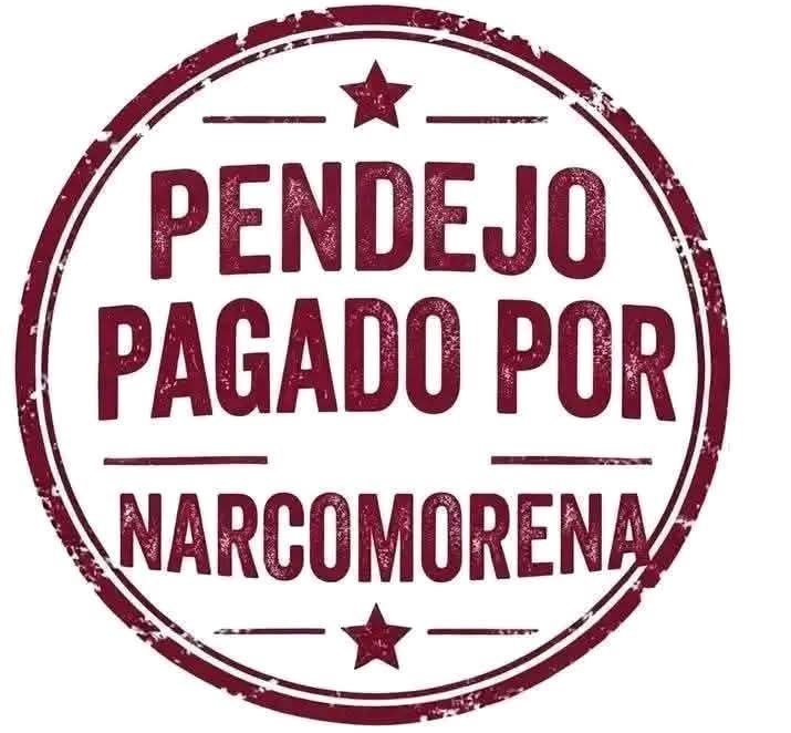 PES_mxJS's tweet photo. @ArmandoRivacvh @lopezobrador_ @Claudiashein Pues yo no pertenezco al gobierno yo trabajo no cómo ustedes parasitos https://t.co/bs4cI4dsMA