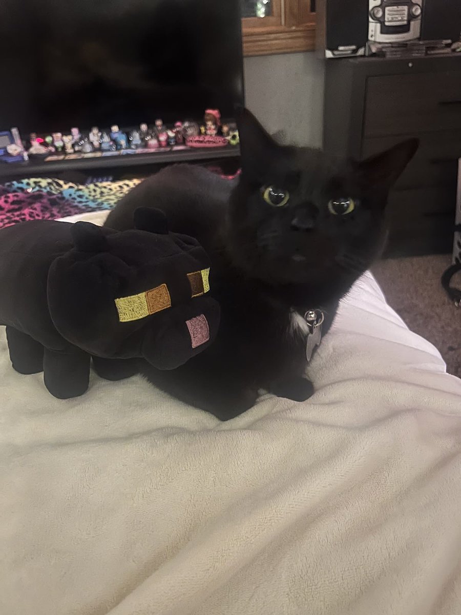 blackscats's tweet photo. https://t.co/P1EJrGHDYt