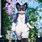 Photo by 🐺피올🔜FURST CLASS (@WolfFaiol)