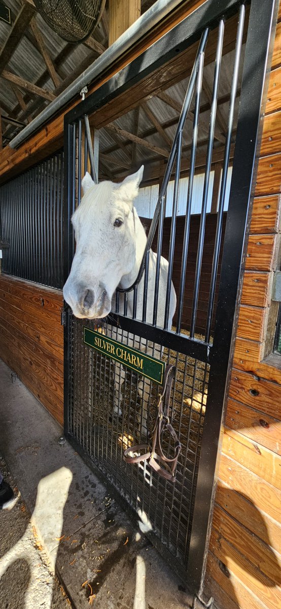 mocowgirl15's tweet photo. Met some new friends at @Oldfriendsfarm. What an amazing place! Silver Charm is the most handsome old man horse ever! https://t.co/WzBnSbOyxy