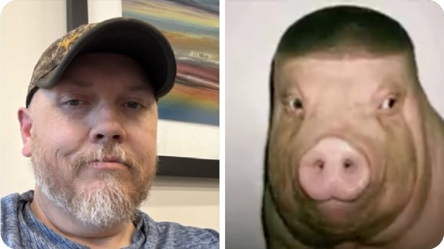 Realitychek789's tweet photo. @Grizzle_Force @B1TuckerCarlson Literally... no 3rd grade level charts needed to know the pinkstink pigskin is not actually human..

But a beta amalgam of:
Primitive feral neanderthug and
actual swine🚫😫😷 https://t.co/dPncr8UtBa