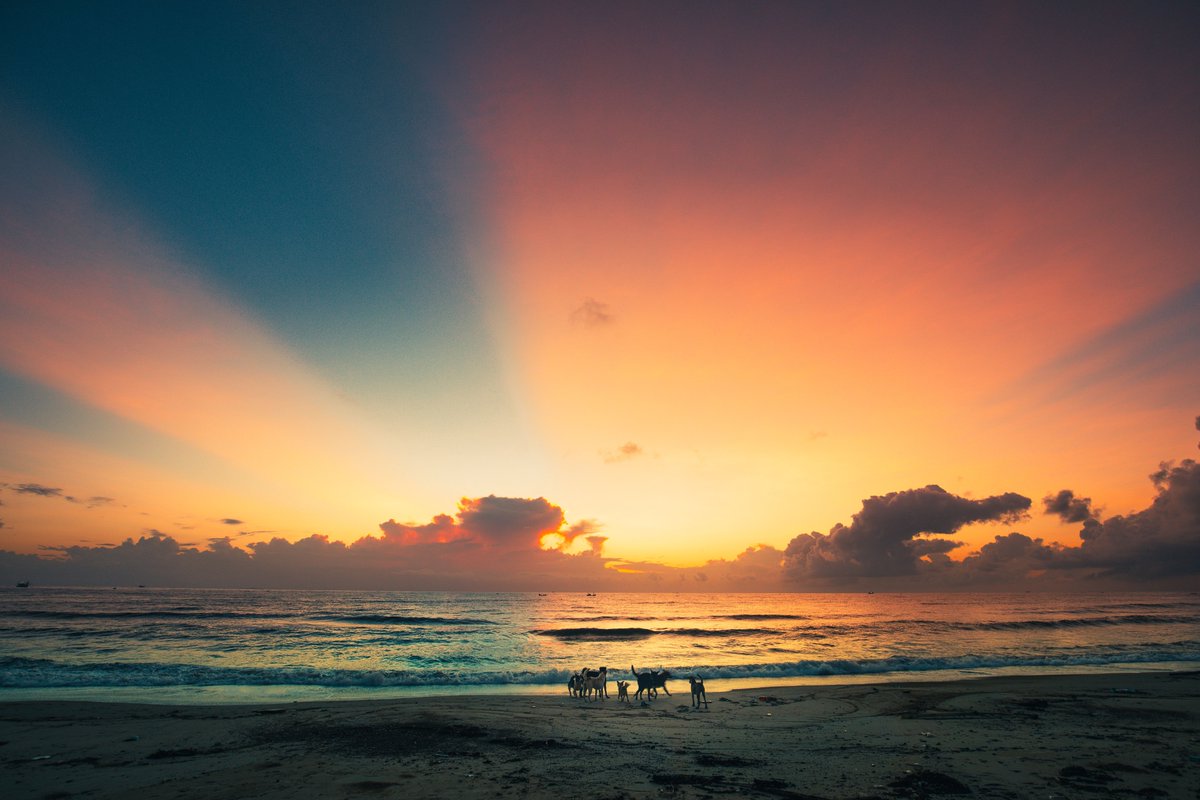 jmadmart's tweet photo. just as a bird's
wings slowly stroke
the air 

so do the rays
of sun infuse
the space 
of what we
can't see

is there 

#GoodMorning #poetry 
📸Tuấn Vũ https://t.co/QJaKqiO8dR