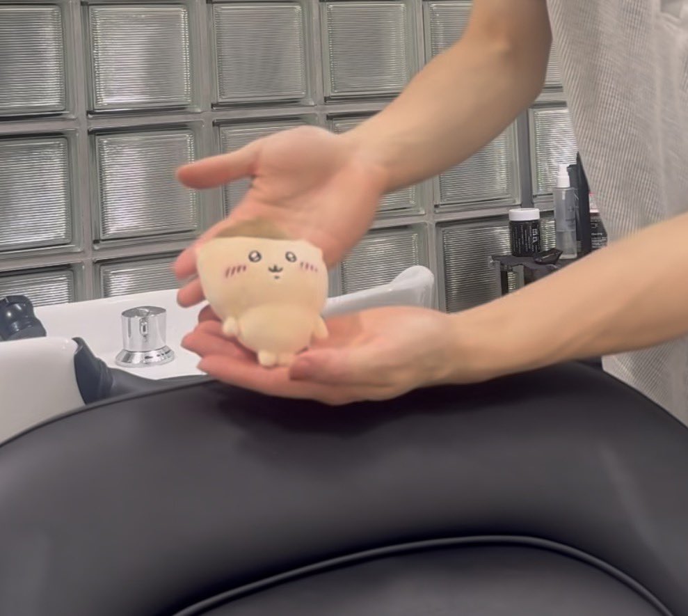 mochi_boshii's tweet photo. 朝から、くりまんじゅうがプロの美容師さんに丁寧にヘアセットしてもらってる動画見つけて、最高の気分。 https://t.co/QELjM1Kha5