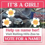 Photo by RollingHillsZoo (@RHZoo)