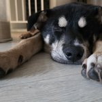 Photo by 짜짜 (@_zza_zza_)