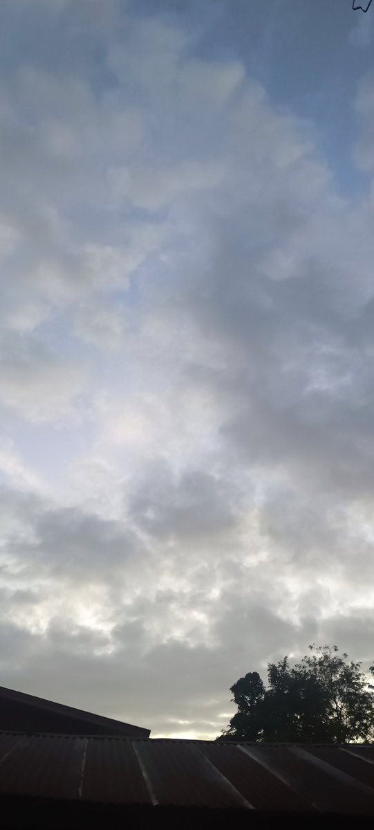 RungtiwaAo's tweet photo. Morning วันพฤหัสบดีค่ะ  เป็นวันที่สดใสน๊า เดินทางปลอดภัยค่ะ  .🌻. https://t.co/lrDLirqpMv