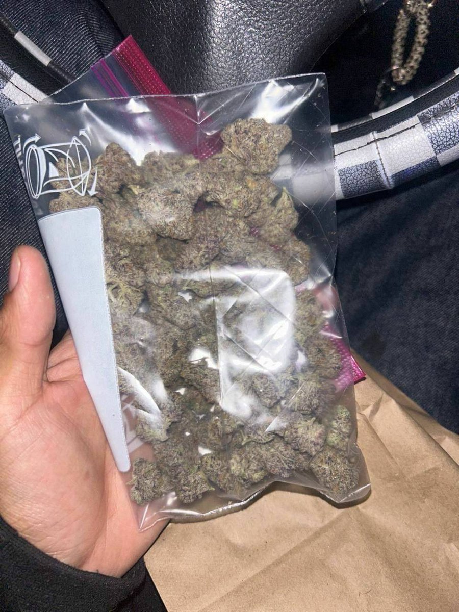 pointshop9092's tweet photo. TEST RUN
#drugtwt #StonerFam #smoketwt 
Zip going for 130
Order right now on telegram through the link below 
👇👇👇👇👇👇👇👇👇✅✅

https://t.co/P8UwqKHTtq

https://t.co/P8UwqKHTtq https://t.co/hYGILvnBj7