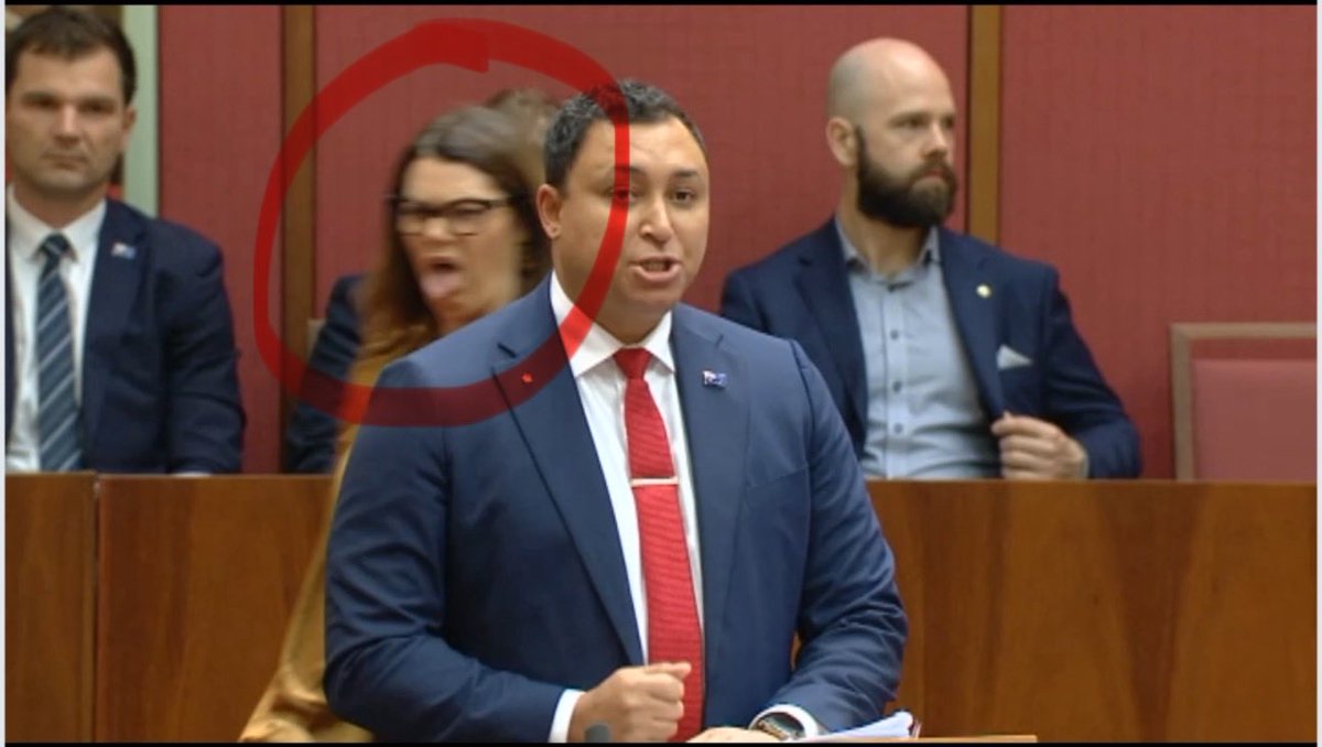 ProfJoannaHowe's tweet photo. If roles were reversed, and it were a male politician making this face whilst a woman was addressing the parliament, it would kick off an "urgent national conversation" about how disrespectful Australian men are to women, misogyny, the political boys club, male entitlement, the manosphere, rape culture, how this perpetuates male violence against women, and on, and on, and on. Albanese would probably order a Royal Commission. When @sarahinthesen8 does it to @senatorbabet there's crickets.