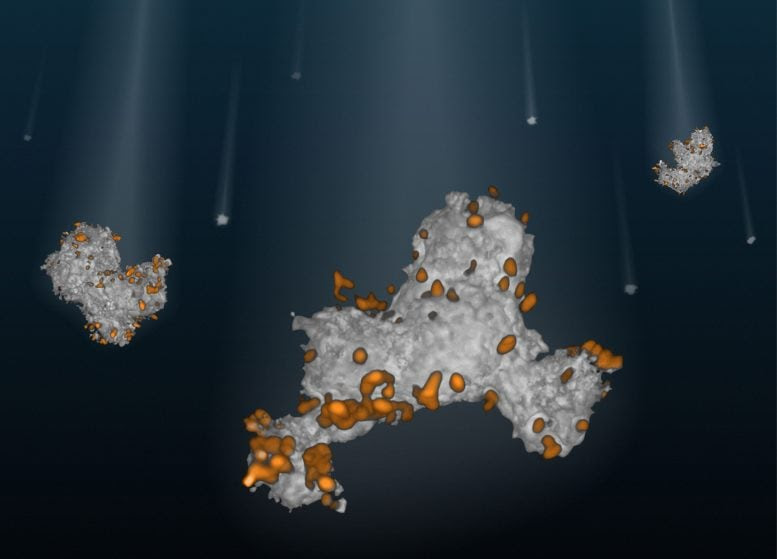 GaryM's tweet photo. A surprising property of the tiny particles sinking through the ocean could help determine how much carbon is stored in the deep sea.  https://t.co/jjRTN5rECV #ClimateScience #Oceanography #ecology #science #SciChat https://t.co/72o2iqlSx0