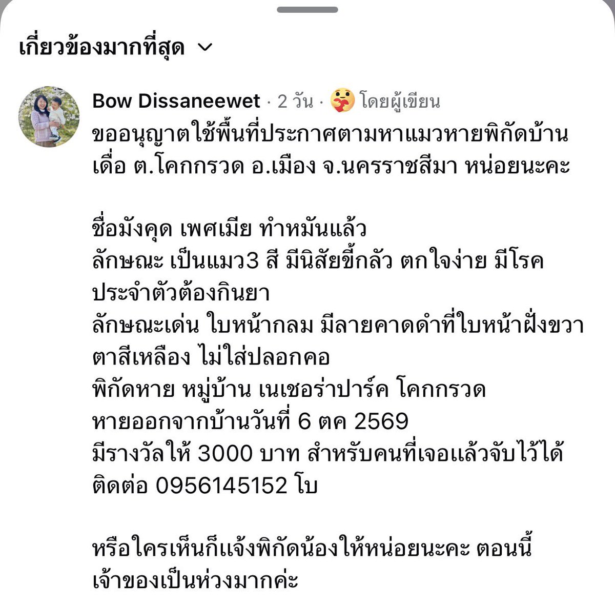 yskeyko_1's tweet photo. แจ้งพิกัด #แมวหาย บ้านเดื่อ ต.โคกกรวด อ.เมือง จ.นครราชสีมา น้องแมวสามสี เพศเมีย ผู้ใดพบเห็บ โปรดรีบแจ้งแม่น้องตามรายละเอียดด้านล่างนี้เลยน้าาา 🥺🙏🏻 https://t.co/0fUz4sqPyh