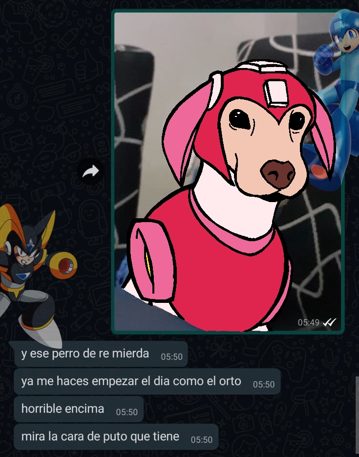 LimoNaranja17's tweet photo. pinshe chucho #megaman https://t.co/xeXg1z43FZ