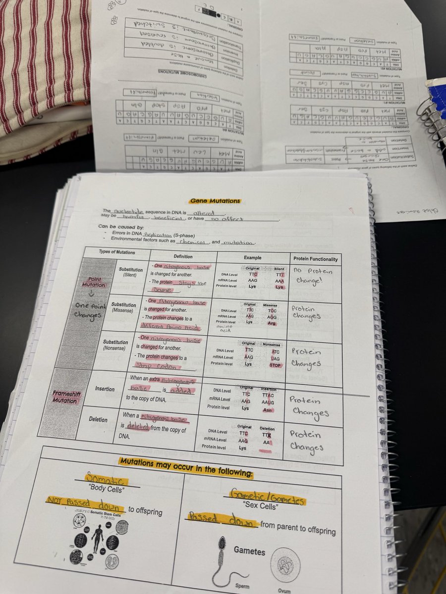 GutierrezF_'s tweet photo. Mutation exploration in @EHS_Castro Biology class!

Our Troopers are bringing genetics to life through hands-on learning and collaboration. 🧬

I love Biology 🌱
I love this Place 💙💛
@EastwoodHQ https://t.co/b4RpzTd4Rv