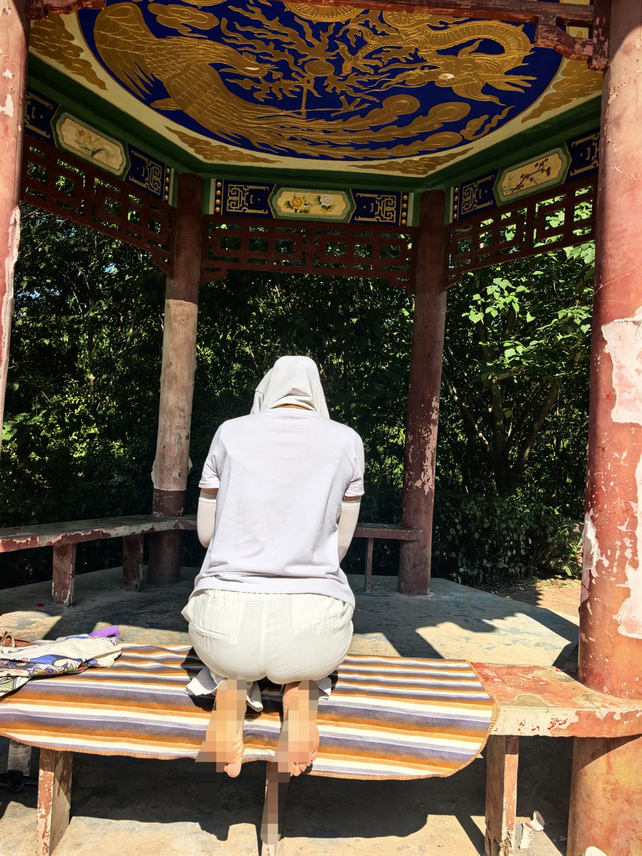 ByGuBei's tweet photo. 早上好 https://t.co/GdBTgKMcLN