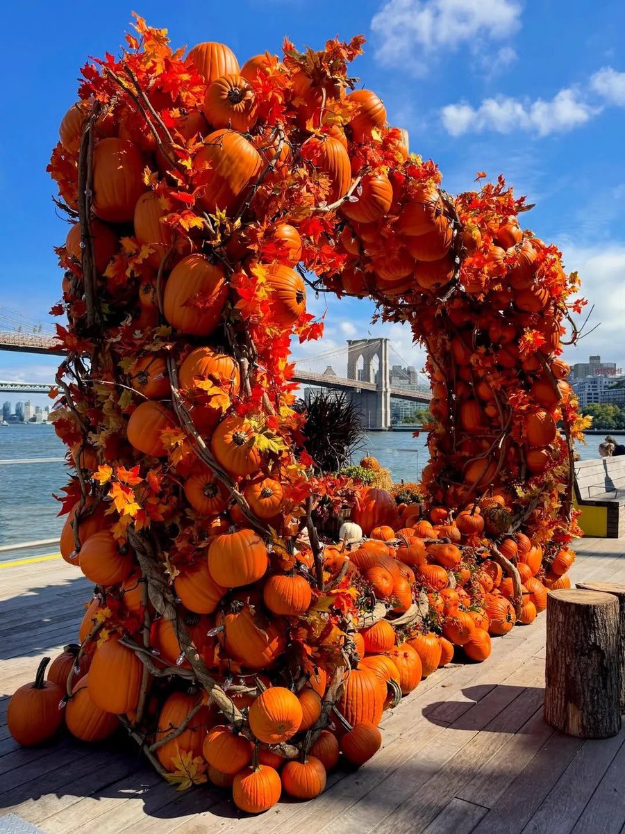 _Goldie_A's tweet photo. October in New York!!!!!! https://t.co/uI27ls0JT5