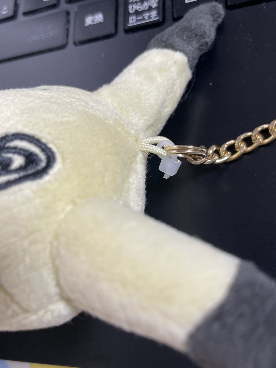 dorodayo's tweet photo. 一番信用できないの本体のループなので自分は結束バンドで固定してますｗ https://t.co/7jOkjfwGus