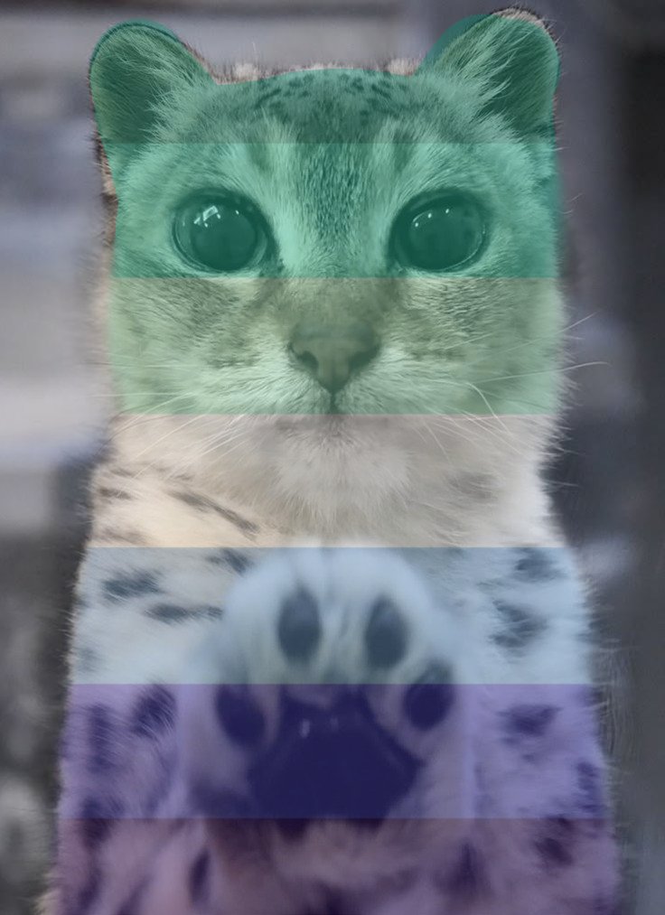 Su1CatC1d3's tweet photo. *paws at you* trans rights
*paws at you* lesbian rights
*paws at you* gay rights
*paws at you* bi rights
*paws at you* 🏳️‍🌈🏳️‍⚧️🏳️‍🌈🏳️‍⚧️🏳️‍🌈
*paws at you* happy pride
*paws at you* happy pride
*paws at you* happy pride
*paws at you* happy pride
*paws at u* comment your flag so i can add it https://t.co/sWtCky9xXT