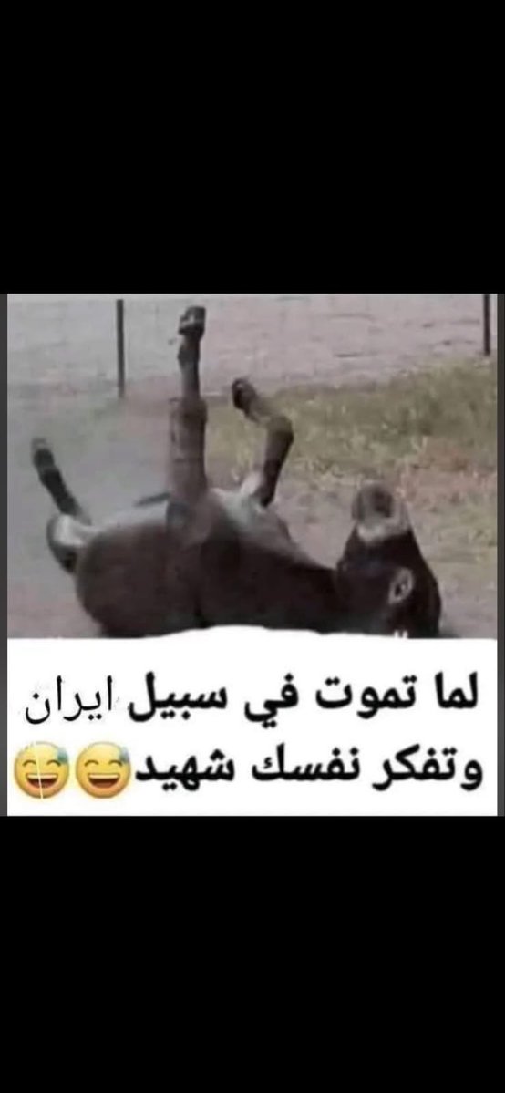 help708's tweet photo. @alhussen1996 https://t.co/zjYKLzIiMd