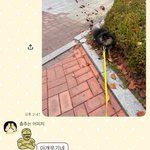 Photo by 조오디 (@odiddiy)