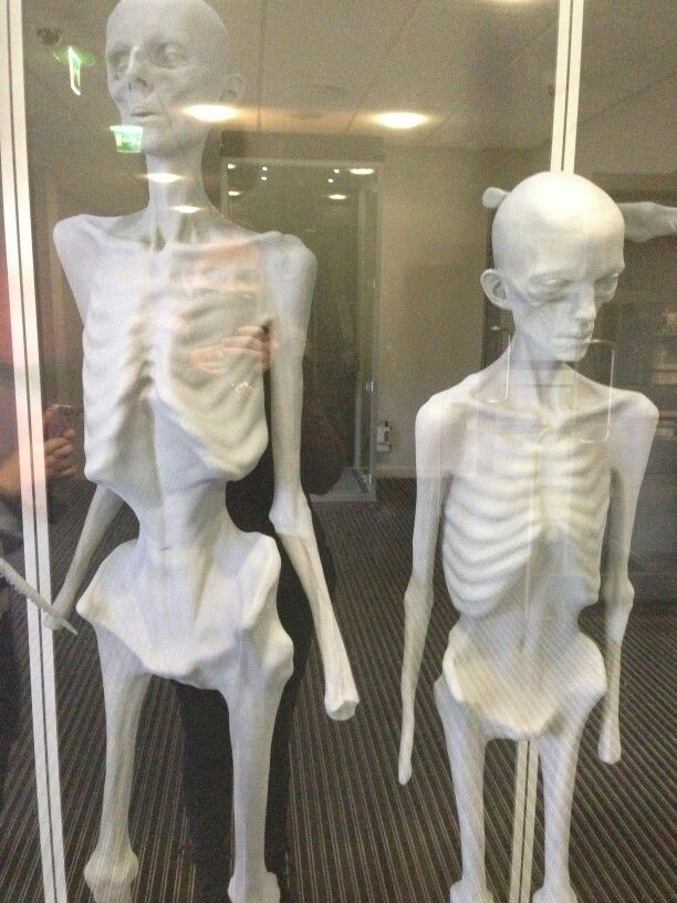 xxxtacyLux's tweet photo. Me after ramadan #fitspo #edtwt #ramadan #ALLAH https://t.co/sGWeqMwtmZ