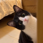 Photo by barbara✿barb (@barbypada)