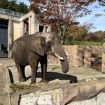 Photo by 盛岡市動物公園 ZOOMO (@moriokazoo)