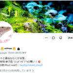 Photo by 倉子倉次🩵🌿🐣🌿🩵 (@souko8)