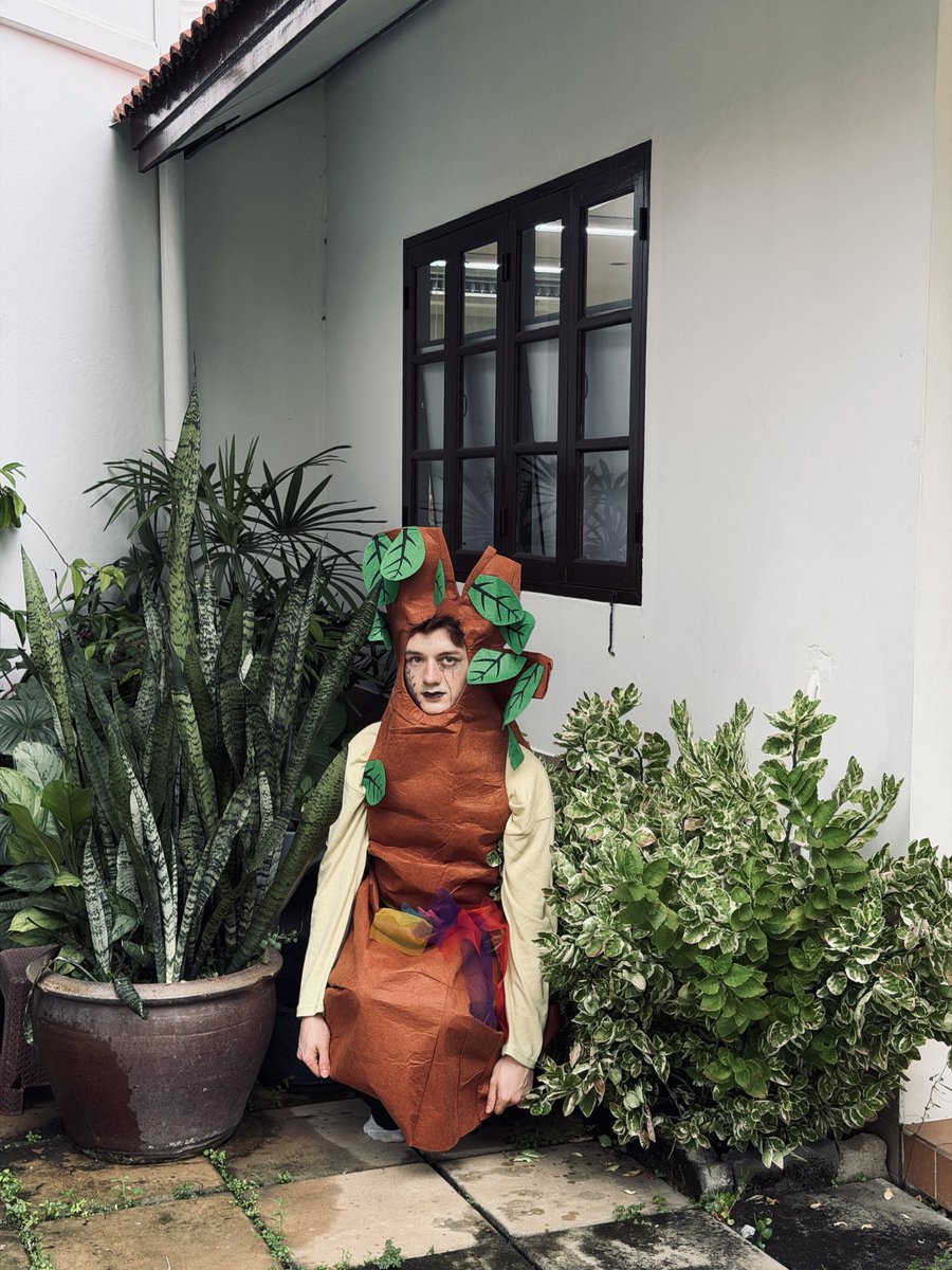 leonbrocco's tweet photo. แฮปปี้ฮาโลวีนครับจากผีพี่ต้นโพธิ์👻🌱
#LEONBROCCO https://t.co/VUkO7C9IiF