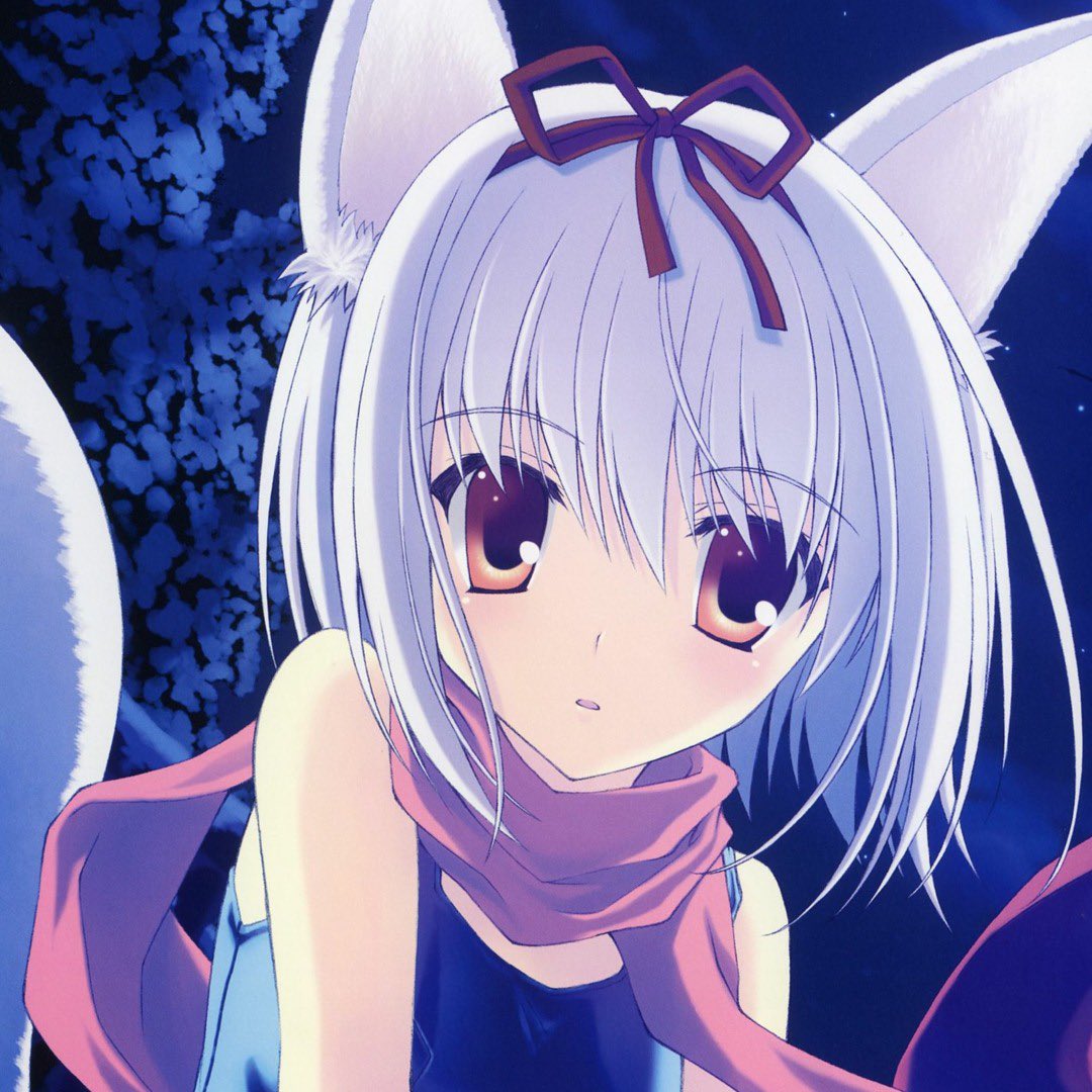 AsylumEscapeeX's tweet photo. nightcore is the best music genre. https://t.co/zbnEGRPWhT