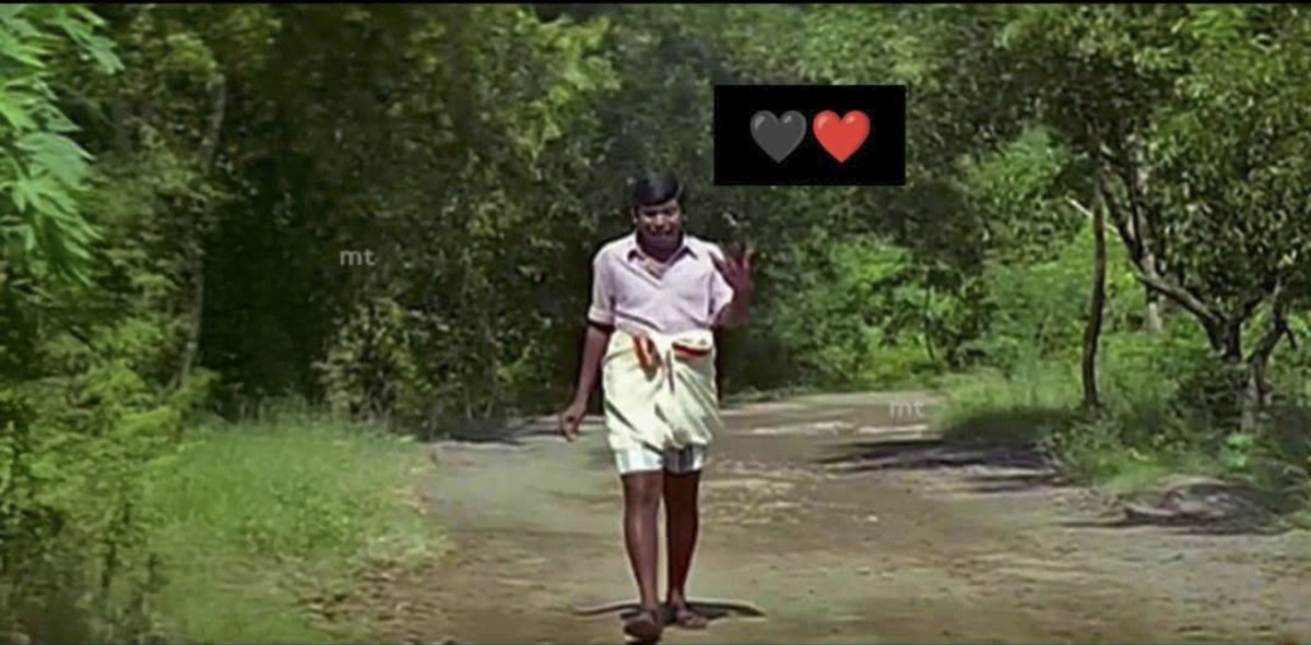 Vj_Akasha's tweet photo. 🖤❤️ -இந்த ஆட்சில வாயே திறக்க கொஞ்சம் பயமா தாயா இருக்கு...

                   - Kothus Current situations 😸 https://t.co/AtmiRB2tBE