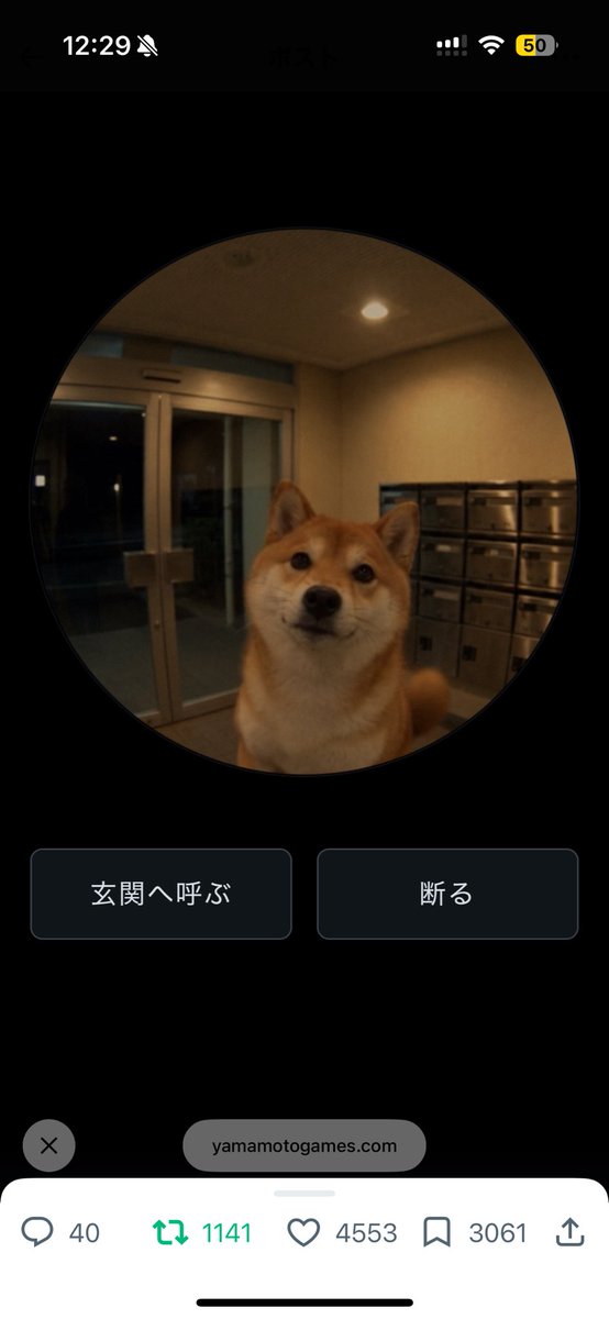 Pepe30149572's tweet photo. 犬きたから当たり前に入れたらBad Endなった https://t.co/aATSlojhTk