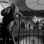 Photo by Pecas y lunares (@Palejaz)