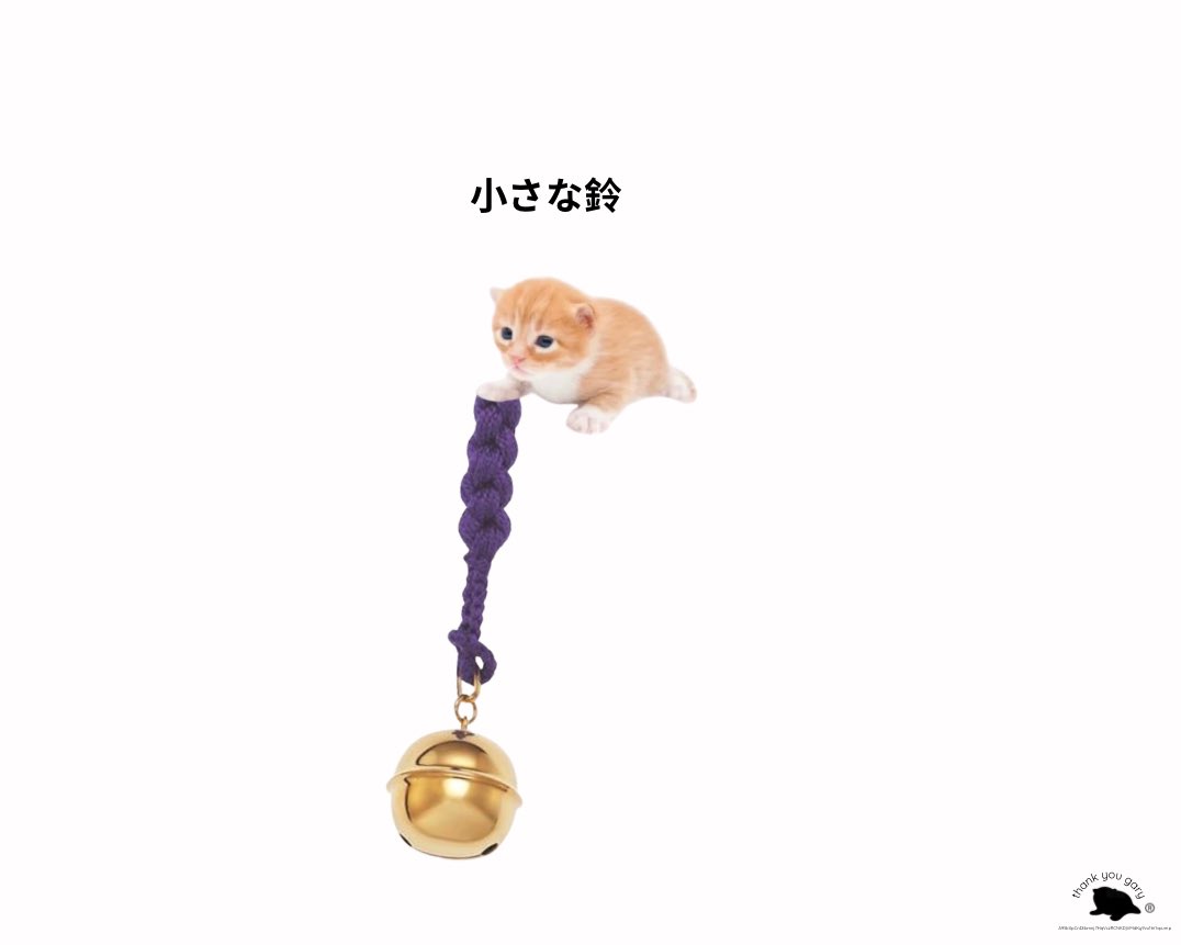 arigatogary's tweet photo. https://t.co/wGhqFyIqYY