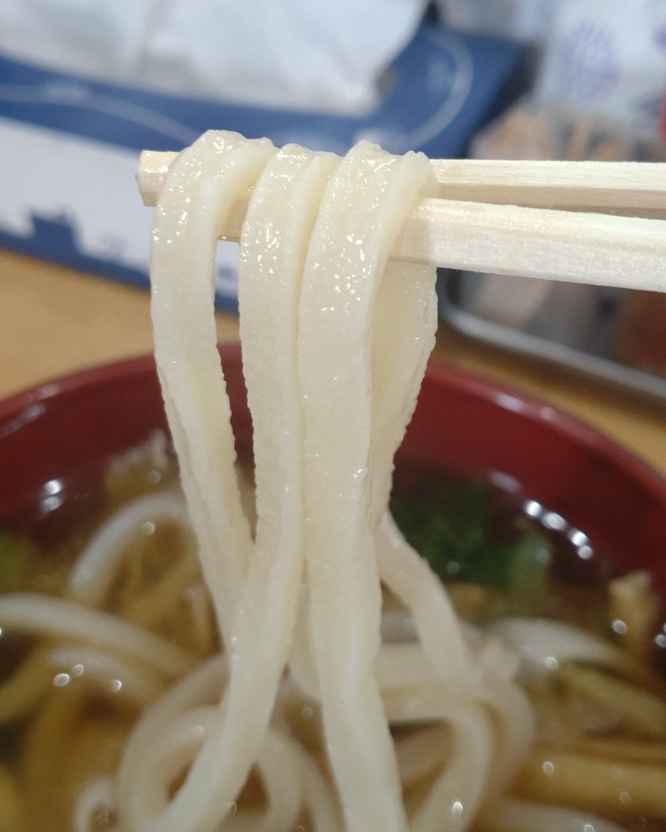 katsuhiro2021's tweet photo. 玉村「玉村うどん」さん。
肉汁つけうどん(中盛り)、から揚げ２個、紅生姜天ぷら。

定休日かぶりでなかなか来れないのですが、ウチが今日は臨時休業だったのでチャンスと。

「お店のこだわり」として書かれている通り、あえて粉っぽさを残したうどんは独特の食感と喉越し、風味。
製麺過程で出てしまう細かく不揃いな麺を薄く平たくつぶしたひもかわ風の「ふわりうどん」はチュルンと。

透き通るつけ汁は、野菜と豚肉の脂の旨味が溶け出していて、醤油の塩気で引き締まりうまかった。

美味しかったです、ご馳走さまでした！

#玉村
#うどん
#玉村うどん
#肉汁つけうどん
#小麦粉