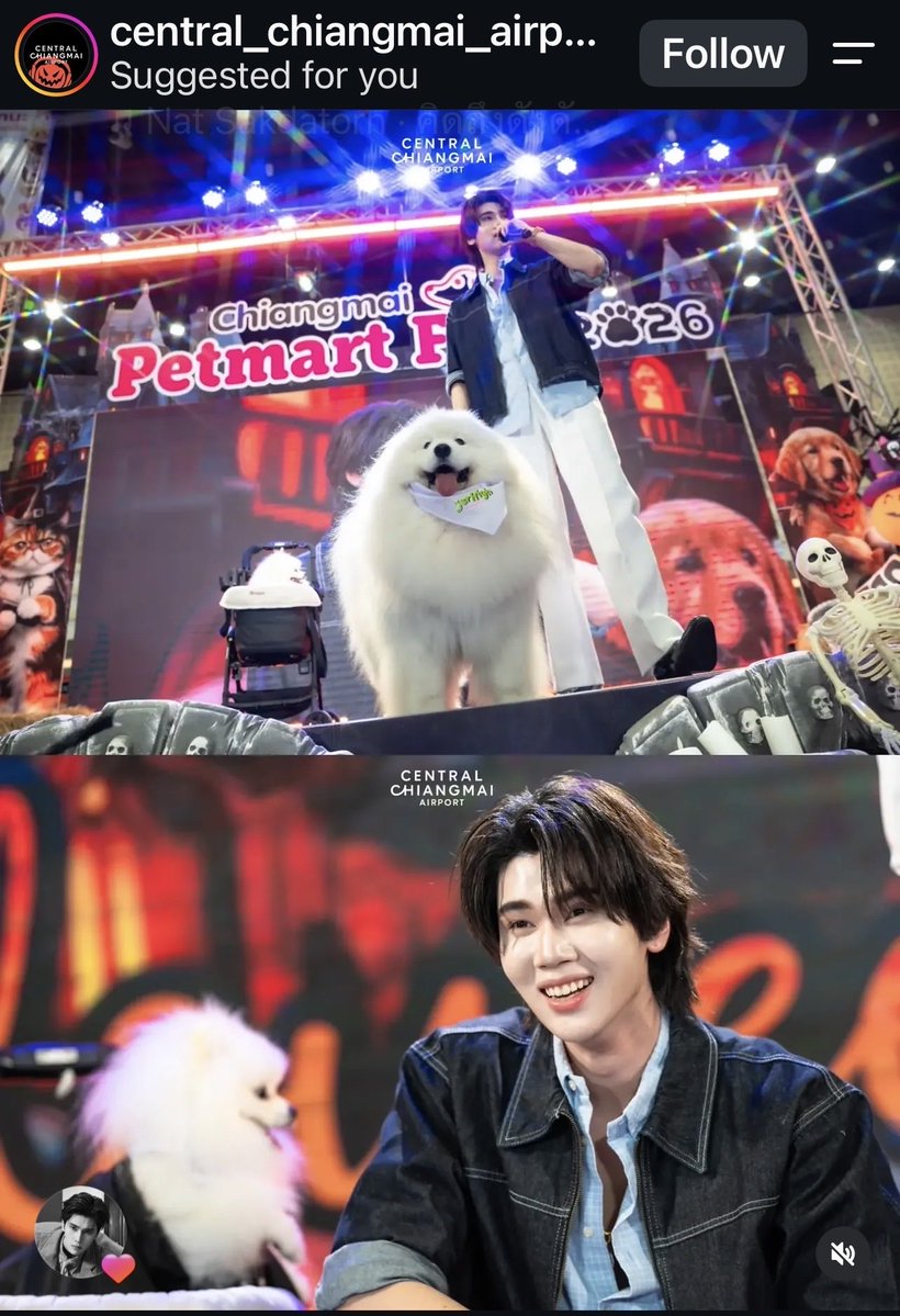 nenanemo_'s tweet photo. Central ลงรูปสวยมากๆเลย น่ารักมาก สดใสจัง พี่น้องหมีขาวออกงานด้วยกัน 🐻‍❄️🐻‍❄️🐻‍❄️🤍

DUNK X JERHIGH IN CHIANGMAI
#JerHighLOOOVEXDunk
#dunknatachai https://t.co/SshPffSXXw
