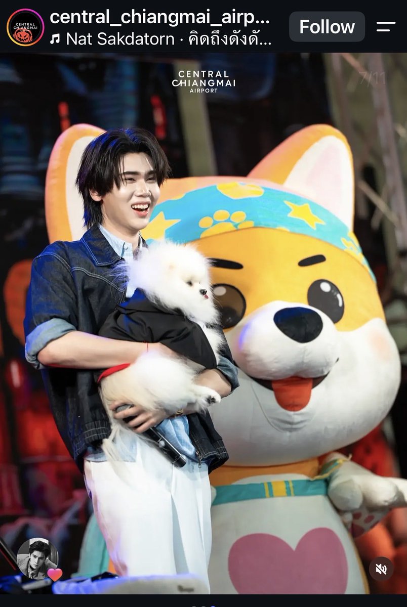nenanemo_'s tweet photo. Central ลงรูปสวยมากๆเลย น่ารักมาก สดใสจัง พี่น้องหมีขาวออกงานด้วยกัน 🐻‍❄️🐻‍❄️🐻‍❄️🤍

DUNK X JERHIGH IN CHIANGMAI
#JerHighLOOOVEXDunk
#dunknatachai https://t.co/SshPffSXXw