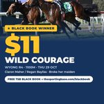 Photo by The Sporting Base - Horse Racing (@TSBRACING)