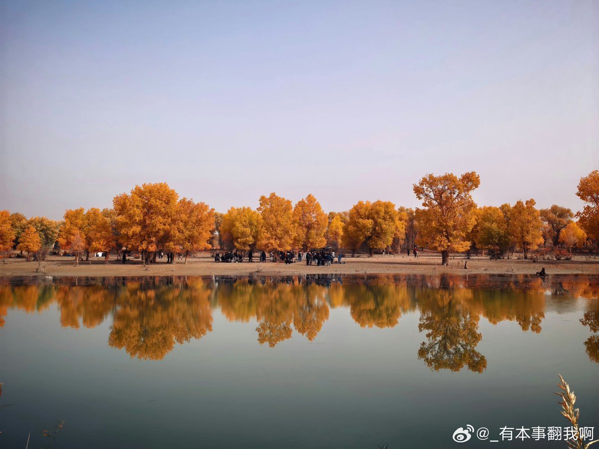 everydayzlh's tweet photo. today's filming set in xinjiang is so beautiful🍂

#zhanglinghe | day 47 | 🎭 ye tingyan/ye he https://t.co/9TwaIkEaf5