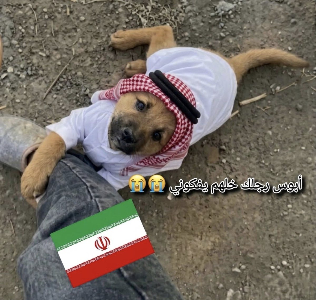 zekvkr's tweet photo. @fatma_2314 @alyemenya1 هههههههههه 🤣🤣 هاكذا فعلوا اسيادك عندما ذهبوا إلى ايران https://t.co/9dcU52BsPX