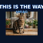 Photo by CATS COIN ( $MIAO ) (@CatsCoinbase)