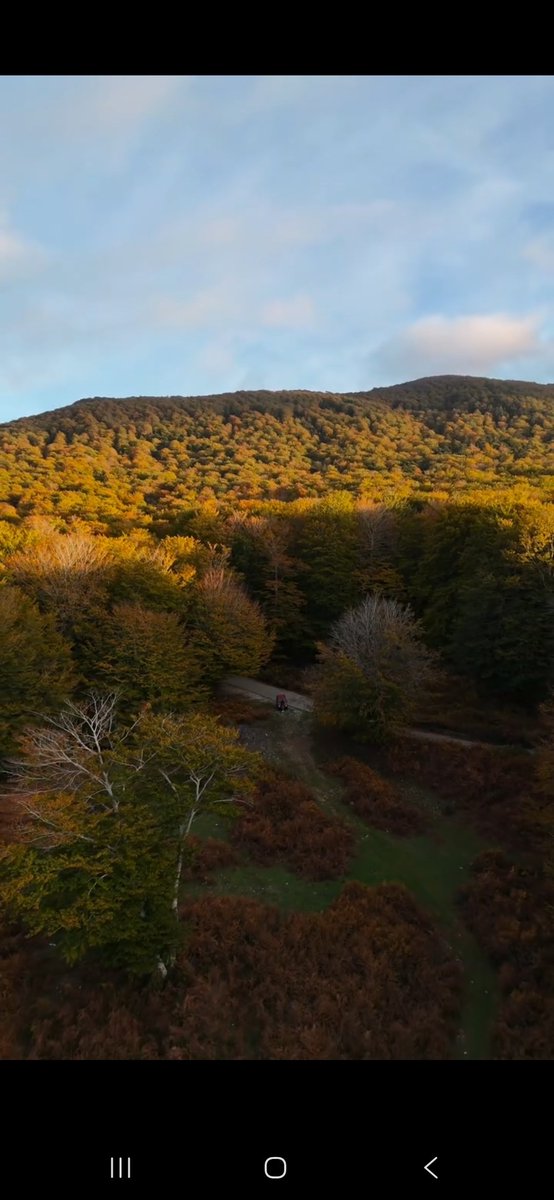 LauraSicc's tweet photo. Buongiorno con questo spettacolo di colori autunnali della Calabria e in particolare dell'Aspromonte 🌳🍂🍁🍃
#GiuseppeGaribaldi1993
#InViaggioconGaribaldi
#garibaldine https://t.co/sSPTmaq0xm