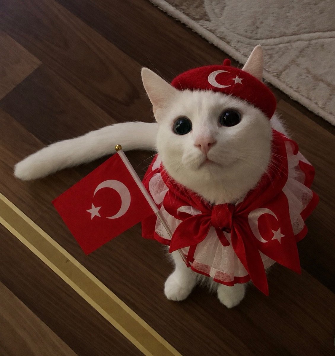 beypazarihande's tweet photo. CUMHURİYET BAYRAMIMIZ KUTLU OLSUN🇹🇷🇹🇷🇹🇷 https://t.co/iVqXXMuJMd