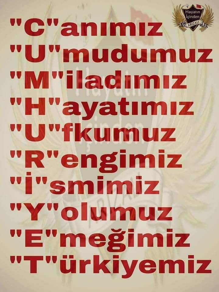 printer_3545's tweet photo. 🇹🇷İlelebet payidar kalacaktır 🇹🇷 https://t.co/gmRE6KWXpD