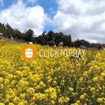Photo by Click To Pray | El Video del Papa (@clicktopray_es)