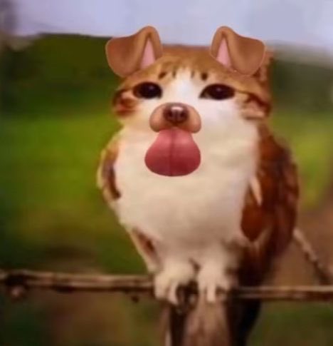 ApricotWx's tweet photo. @0__Evangelion__ YEAHHH IM GONNA GET U INTO PEAK https://t.co/ohB4au22f9
