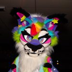 Photo by Nova Cat (@AlienSpaceCat)