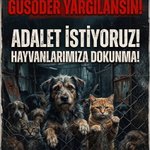 Photo by Koşkoş & Köpük (@Keyfimin_Keyfi)