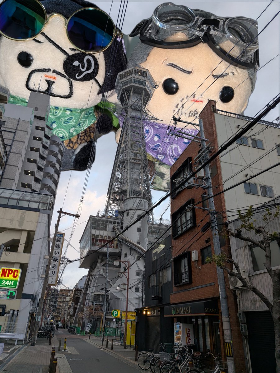 chipichichichi's tweet photo. 襲来――― https://t.co/c9M9cJIT6H
